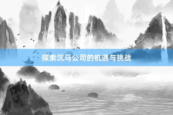 探索沉马公司的机遇与挑战